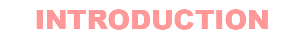 INTRODUCTION